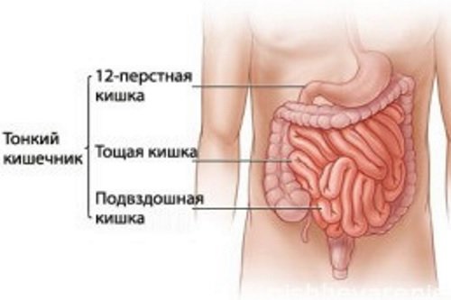 Симптомы при заболевании тонкого кишечника