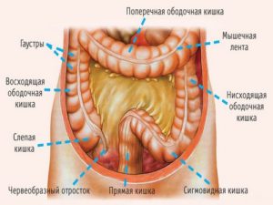 Болезни толстого кишечника у женщин симптомы