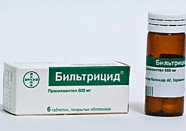Китайский сосальщик: строение, симптомы и лечение