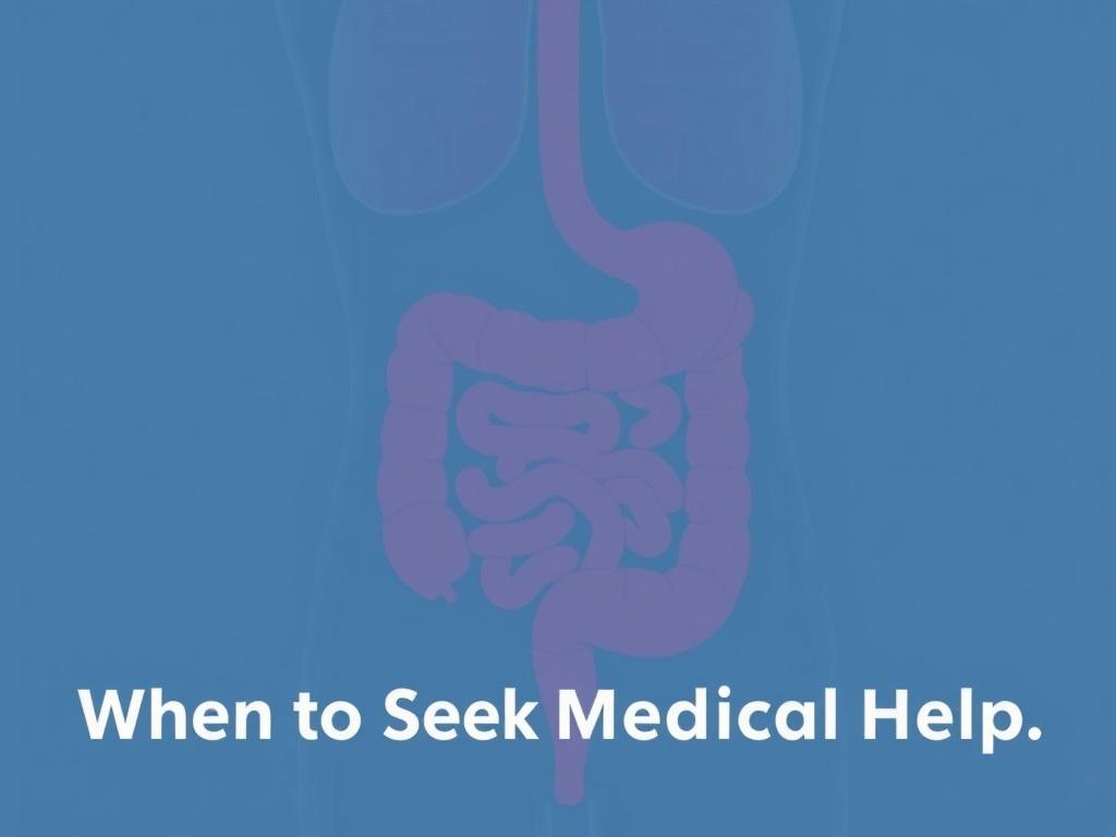     IBS (Irritable Bowel Syndrome) Symptoms and Management. When to Seek Medical Help