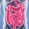 The Role of the Small Intestine in Nutrient Absorption: Unlocking the Body’s Hidden Powerhouse
