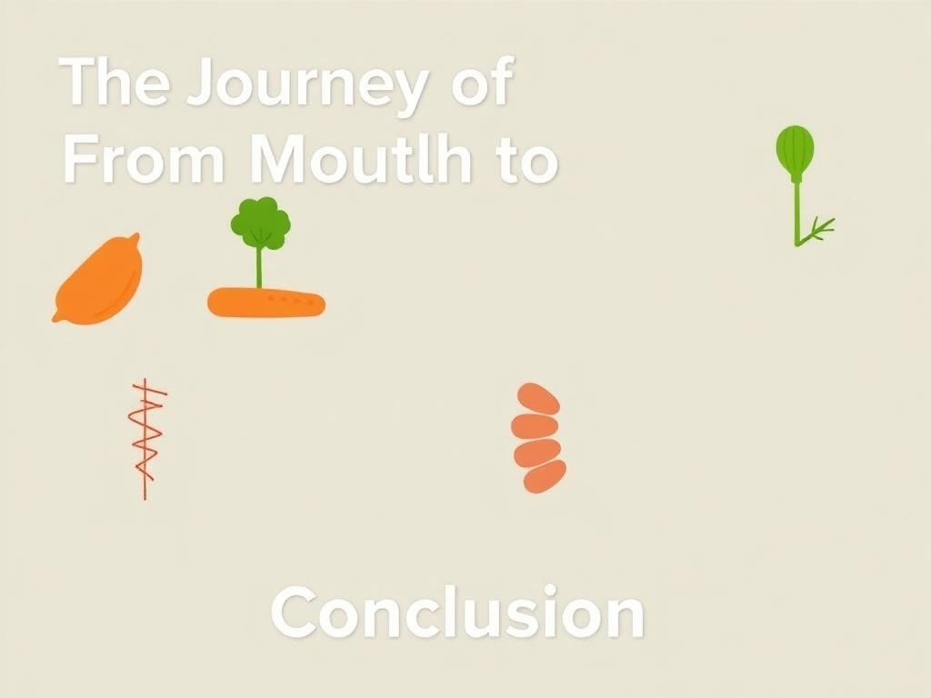     The Journey of Food: From Mouth to Colon. Conclusion