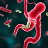 The Impact of Antibiotics on Your Intestinal Bacteria: What You Need to Know