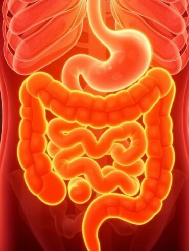 Gut-Brain Connection: How Your Intestines Affect Your Mood