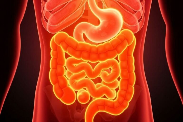 Gut-Brain Connection: How Your Intestines Affect Your Mood