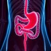 Histaminintoleranz und der Darm: cuando el intestino marca el compás de la histamina