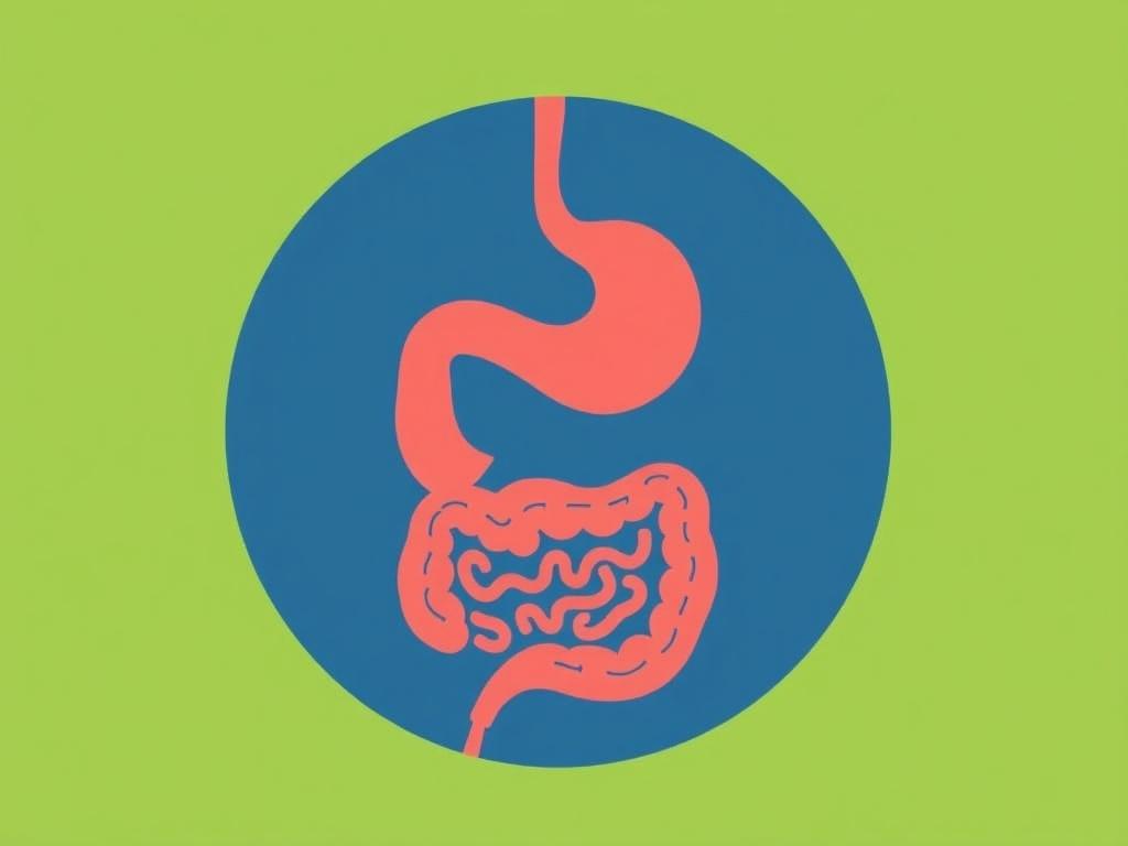     Common Gut Issues in the Elderly. Why the gut changes as we age