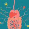 Die Darm-Hirn-Achse: Wie unser Bauch das Denken beeinflusst