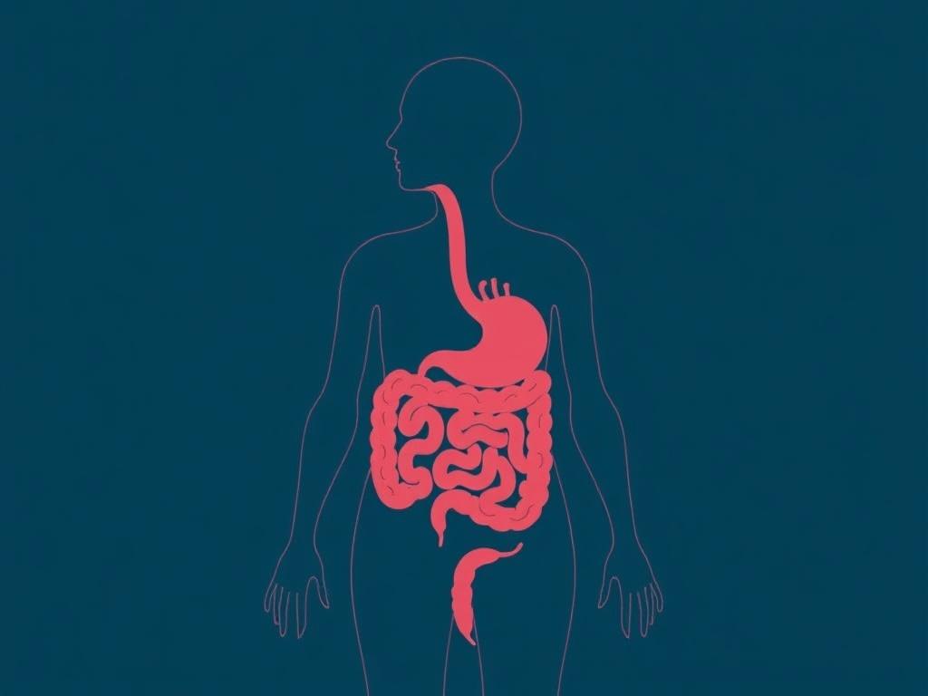     Darmgesundheit im Alter: Worauf sollte man achten?. Plan de acción paso a paso para mejorar la salud intestinal