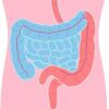 Señales de que tu intestino no está sano (y qué hacer al respecto)