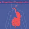 How Digestion Changes with Age: A Friendly, Step-by-Step Guide to Keeping Your Gut Happy at Every Stage of Life