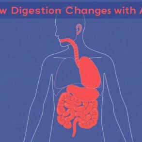 How Digestion Changes with Age: A Friendly, Step-by-Step Guide to Keeping Your Gut Happy at Every Stage of Life