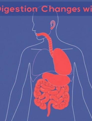 How Digestion Changes with Age: A Friendly, Step-by-Step Guide to Keeping Your Gut Happy at Every Stage of Life
