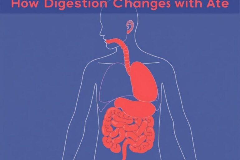 How Digestion Changes with Age: A Friendly, Step-by-Step Guide to Keeping Your Gut Happy at Every Stage of Life