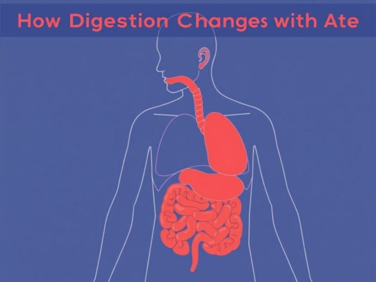 How Digestion Changes with Age: A Friendly, Step-by-Step Guide to Keeping Your Gut Happy at Every Stage of Life