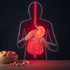 Die Auswirkungen von Stress auf die Verdauung: Cómo el estrés crea caos en tu abdomen y cómo recuperarlo