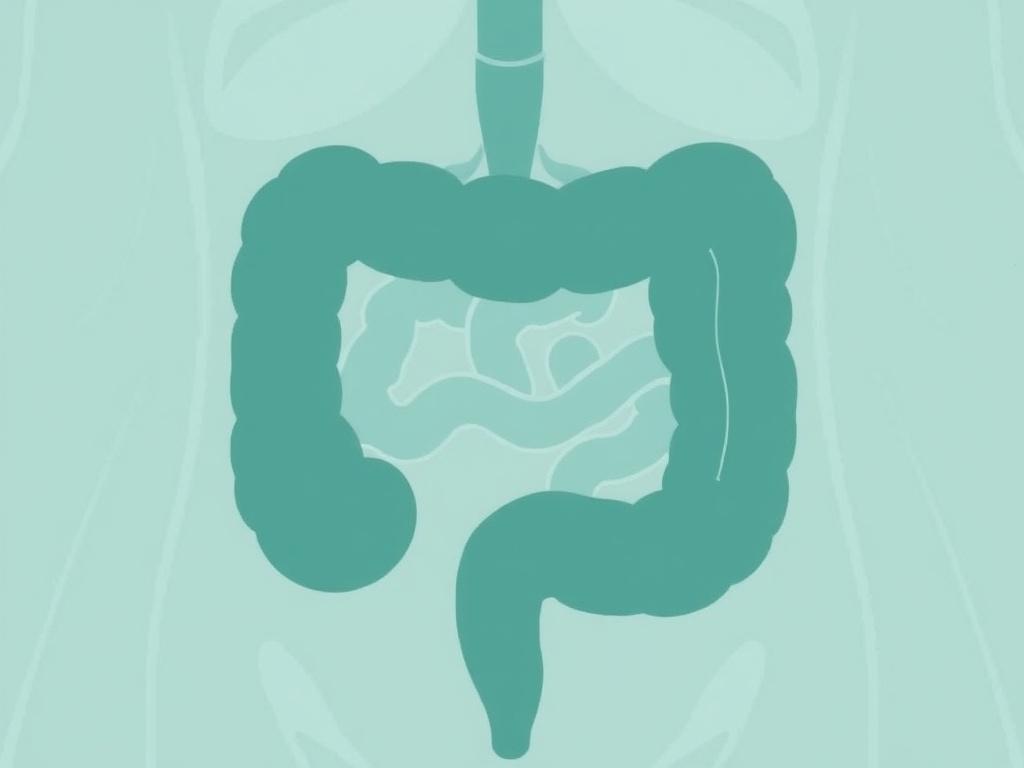     The Role of Gut Enzymes in Proper Digestion. ¿Qué son las enzimas intestinales y por qué importan?