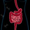 SIBO: la proliferación bacteriana del intestino delgado que nadie te contó pero deberías conocer