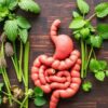 Best Herbs for Digestive Health: Natural Remedies to Soothe Your Stomach