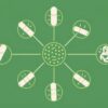 El impacto de los antibióticos en tu microbiota y cómo recuperarla: lo que necesitas saber para cuidar tu salud desde dentro