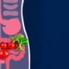 El asombroso papel de las enzimas intestinales en una digestión adecuada