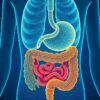 El sorprendente diálogo entre el intestino y el cerebro: cómo lo que ocurre en tu aparato digestivo influye en tu estado de ánimo