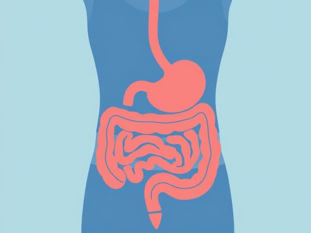     Exercise and Digestion: How Movement Helps Your Gut. Conclusion