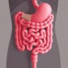 Salud intestinal y enfermedades autoinmunes: ¿Existe una conexión que debamos conocer?