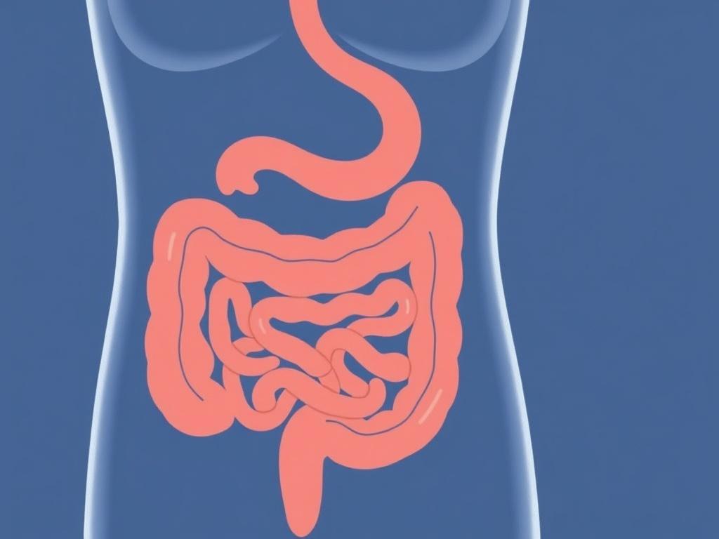     Syndrome de l'intestin irritable : comment apaiser les symptômes ?. Suppléments, probiotiques et huiles essentielles
