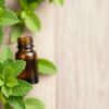 El secreto fresco: el aceite de menta piperita para calmar los dolores de vientre