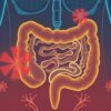 La conexión íntima entre la salud intestinal y el funcionamiento del sistema inmunitario