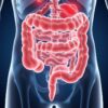 En llamas por dentro: Chronisch-entzündliche Darmerkrankungen — Morbus Crohn y Colitis ulcerosa explicadas para la vida real