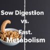 Slow Digestion vs. Fast Metabolism: Understanding the Differences, Why They Matter, and How to Work With Your Body