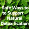 Natural Detox, Safely: Practical Ways to Support Your Body’s Built-In Clean-Up Crew