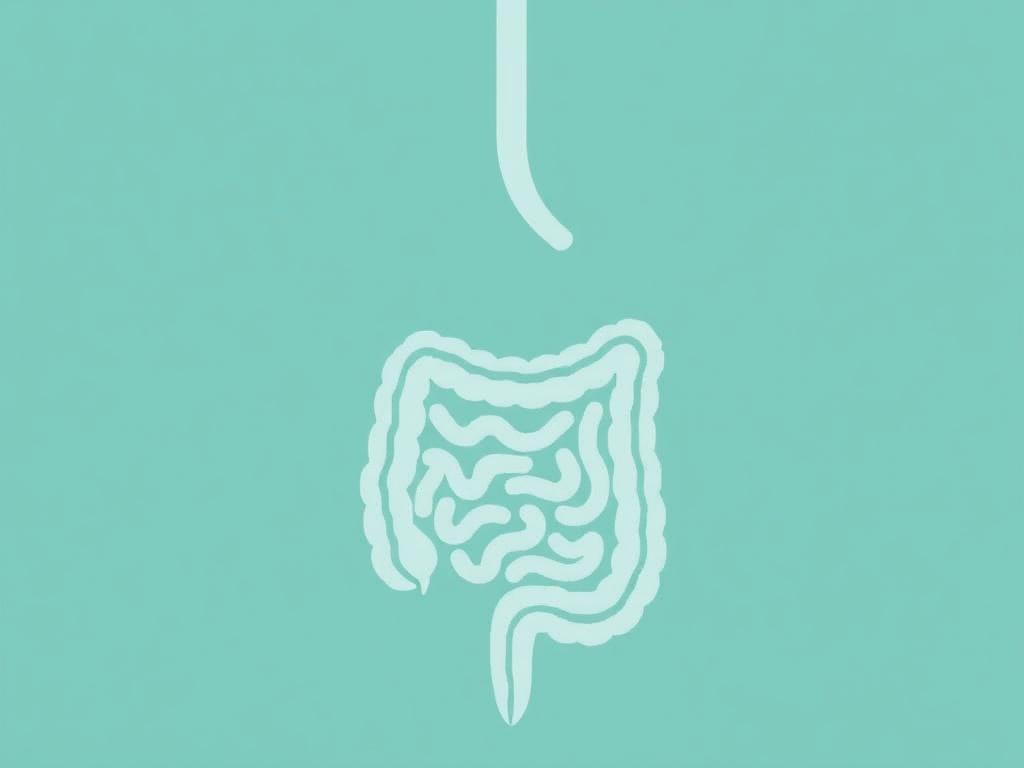     Syndrome de l'intestin irritable : comment apaiser les symptômes ?. Mode de vie et petits gestes du quotidien