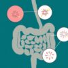 SIBO (Small Intestinal Bacterial Overgrowth): causas, síntomas y tratamientos que necesitas conocer