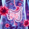 Die Rolle des Darms für das Immunsystem: por qué tu intestino manda más de lo que crees