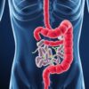 Small Intestinal Bacterial Overgrowth (SIBO) Explained: Understanding Causes, Symptoms, and Treatments
